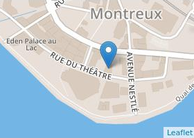 D. Dumusc & M. Froidevaux - OpenStreetMap